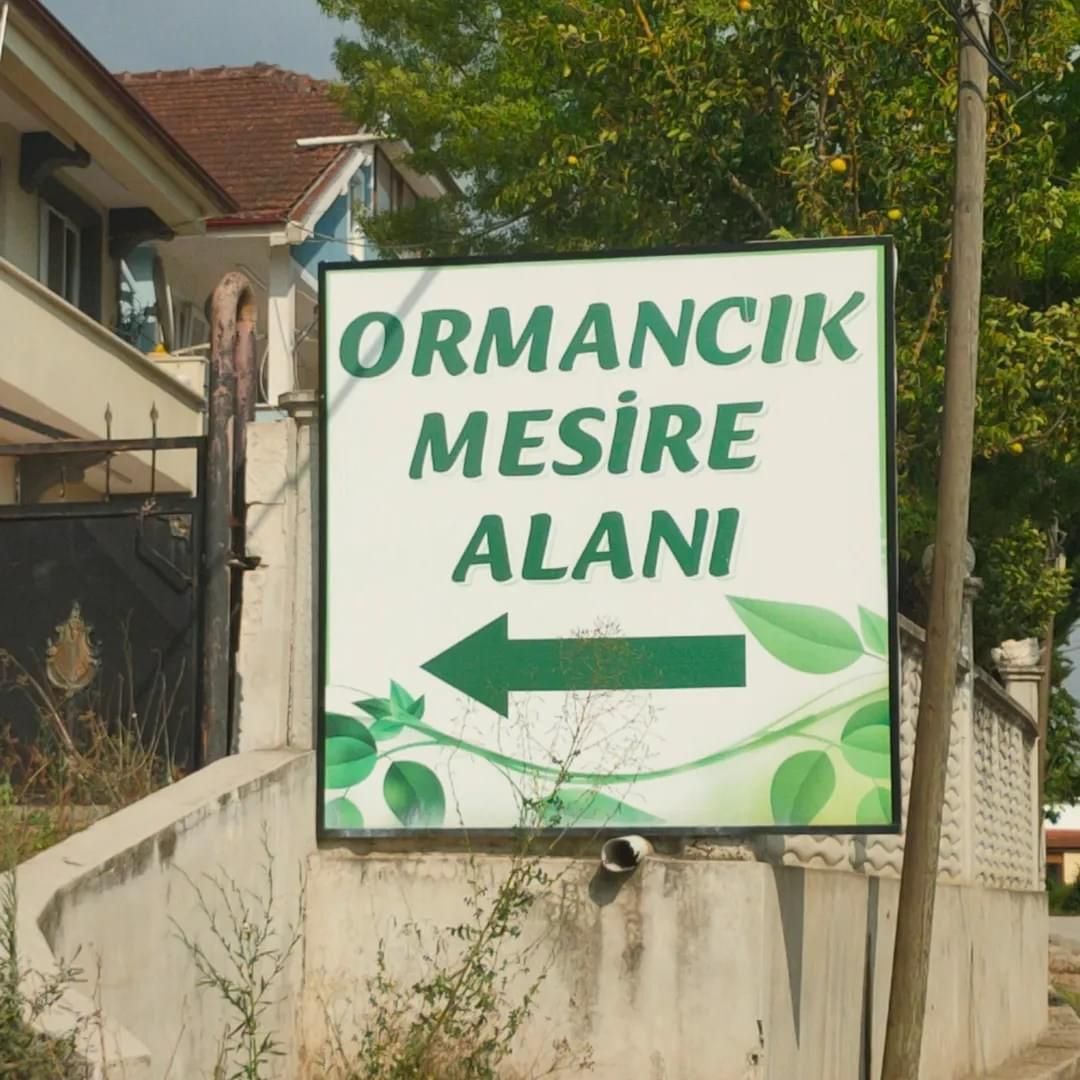 Ormancık Mesire Alanı