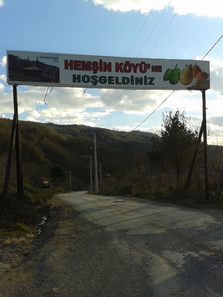 Akçakoca Hemşin Çamlik Mesire Alanı