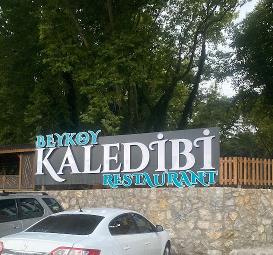 BEYKÖY KALEDİBİ MESİRE ALANI